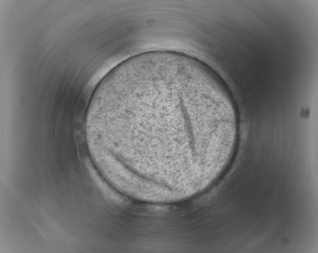 X0000111901521200908240949