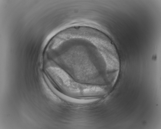 X0000111901522200908240949