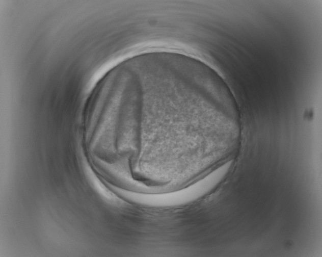 X0000111901523200908240949