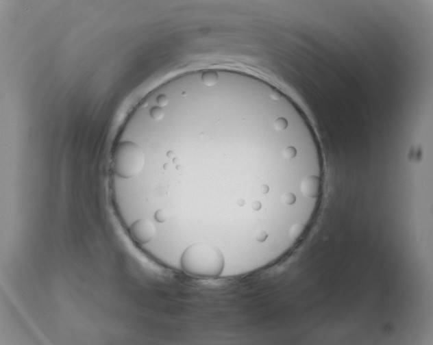 X0000111901525200908240949