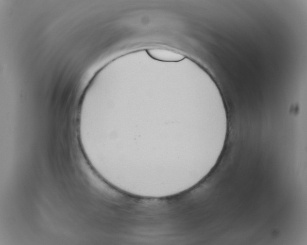 X0000111901526200908240949