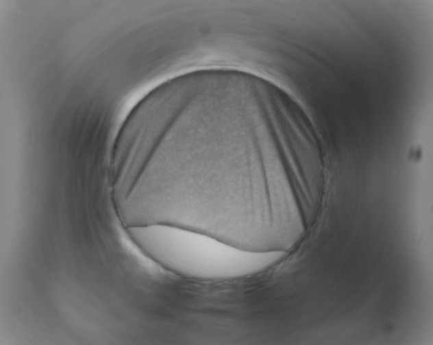 X0000111901527200908240949