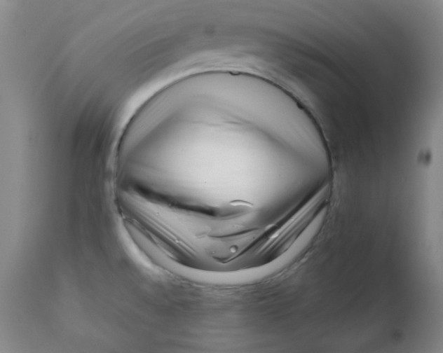 X0000111901528200908240949