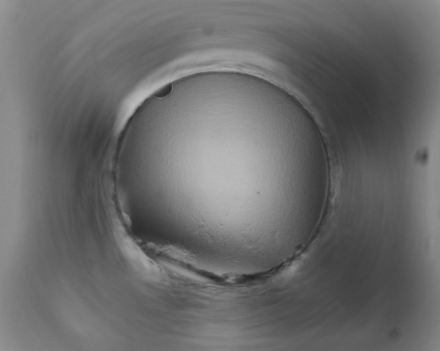 X0000111901530200908240949