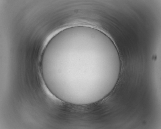 X0000111901531200908240950