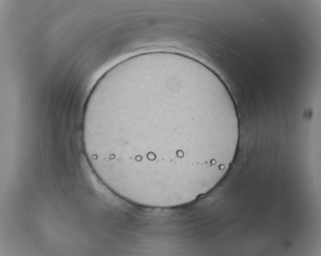 X0000111901534200908240950