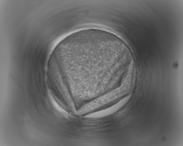 X0000111901535200908240950