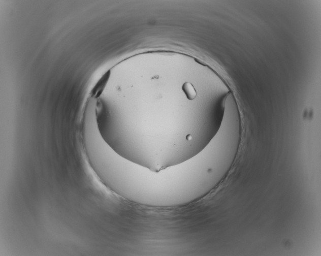 X0000111901536200908240950