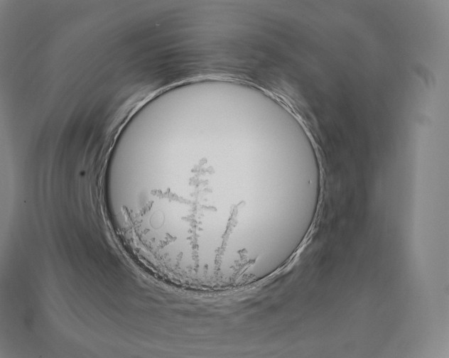 X0000111900001200909071146