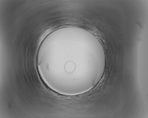 X0000111900003200909071146