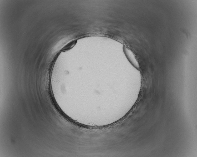 X0000111900005200909071146