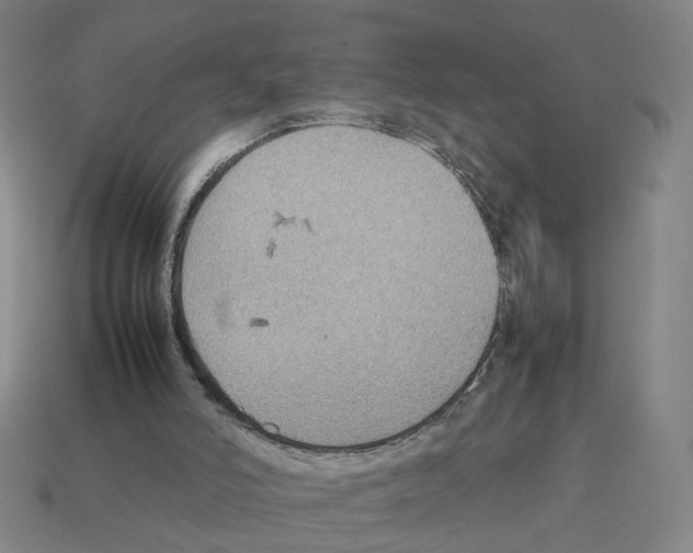 X0000111900006200909071146