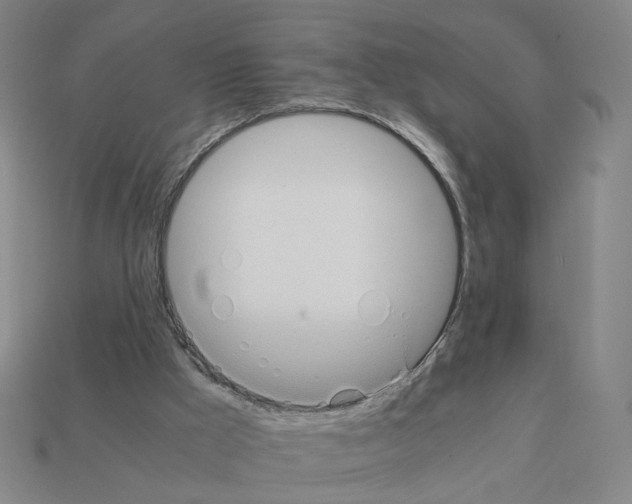 X0000111900009200909071145