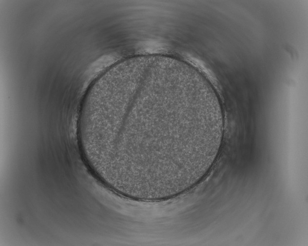 X0000111900010200909071145