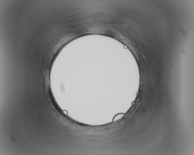 X0000111900011200909071145