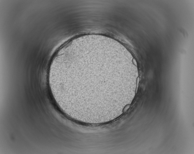 X0000111900012200909071145