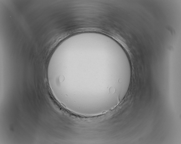 X0000111900013200909071145