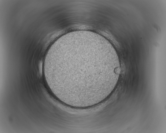 X0000111900014200909071145