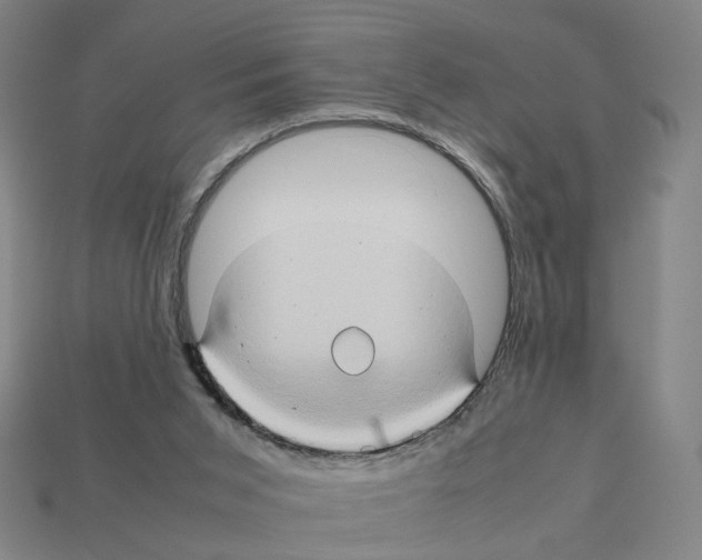 X0000111900015200909071145