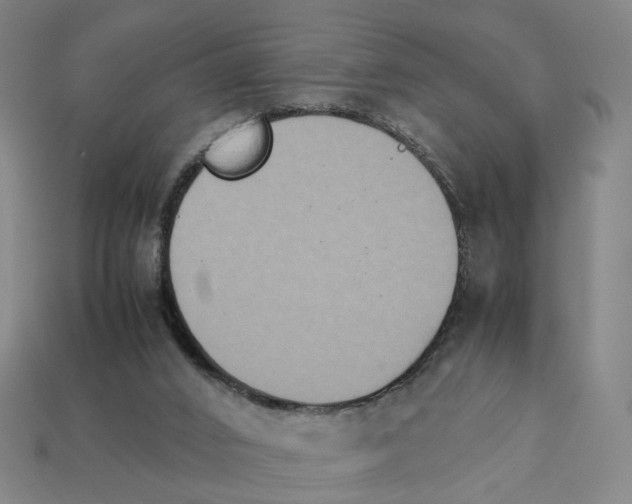 X0000111900016200909071145