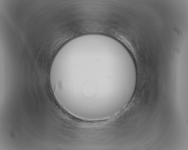 X0000111900017200909071145