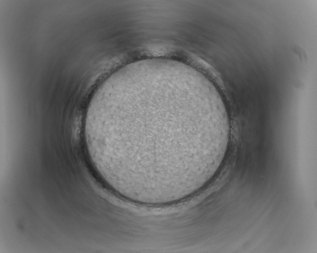 X0000111900018200909071145