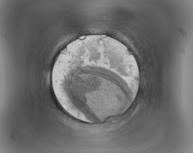 X0000111900019200909071145