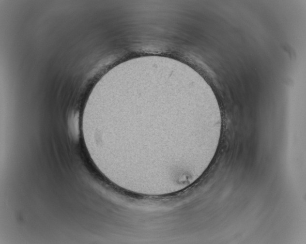 X0000111900020200909071145