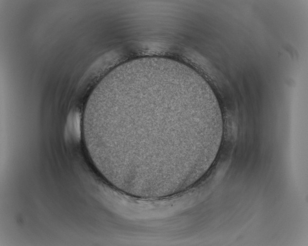 X0000111900022200909071145