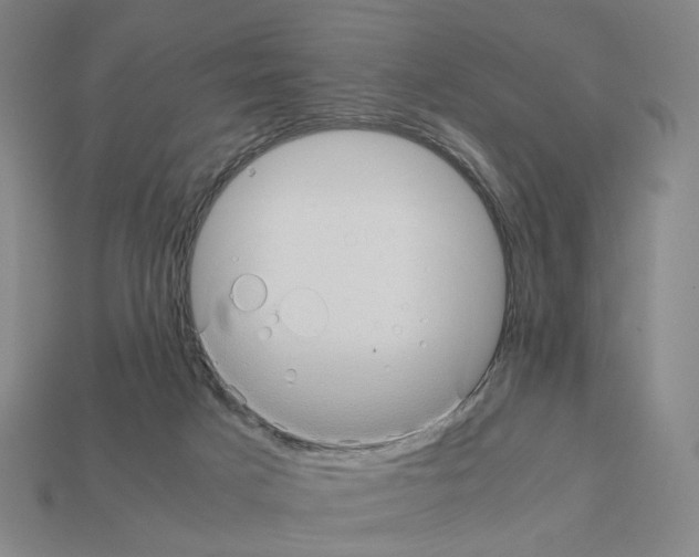 X0000111900025200909071145