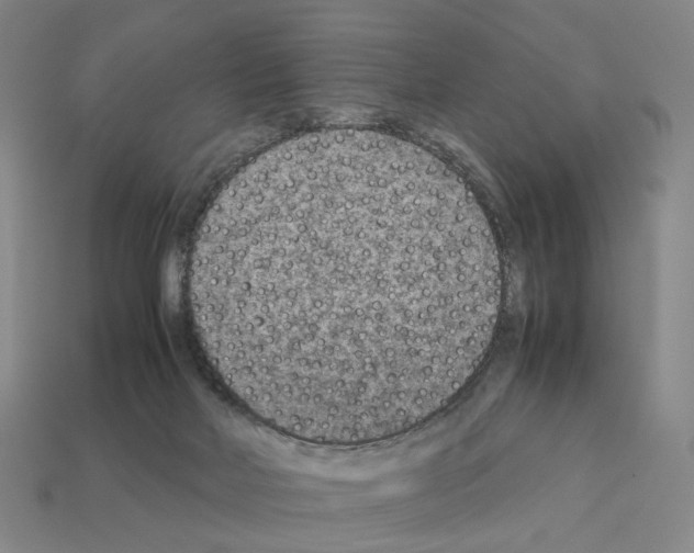 X0000111900026200909071145