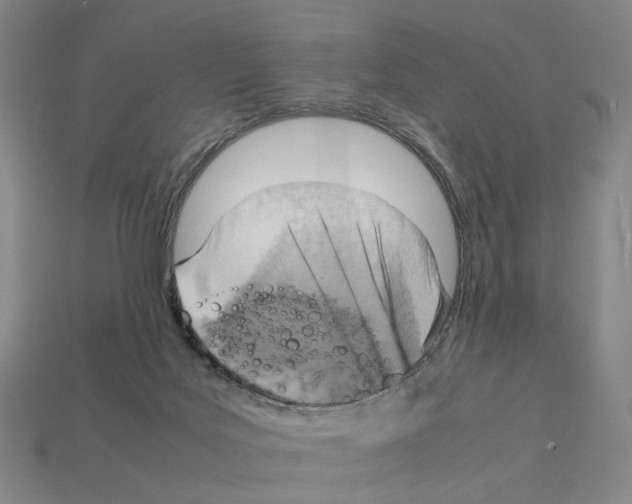 X0000111900027200909071145