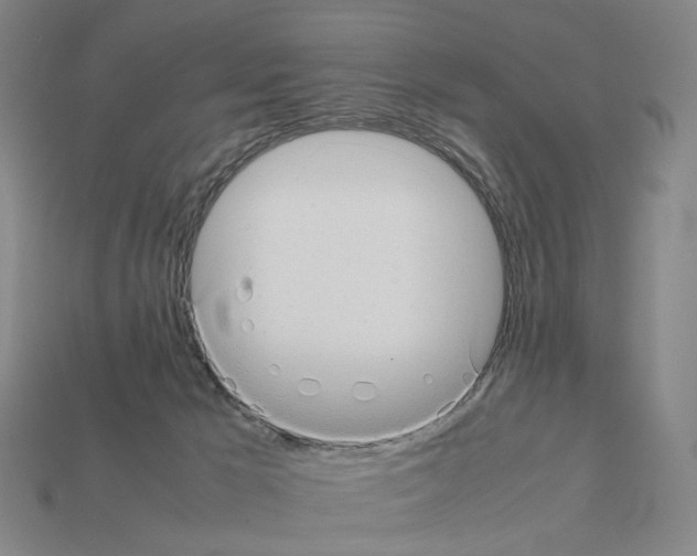 X0000111900029200909071145