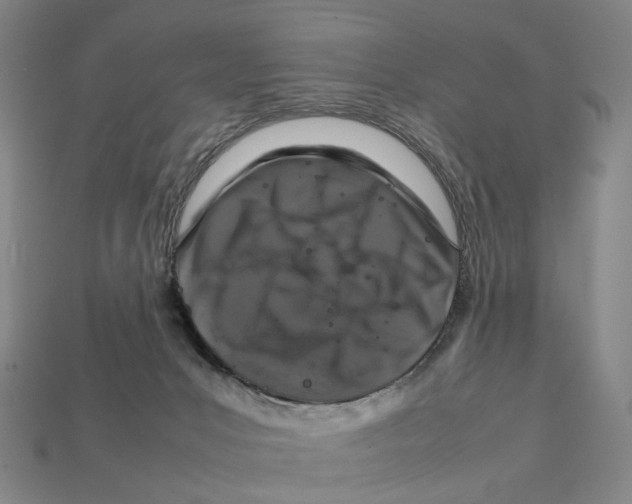 X0000111900031200909071145