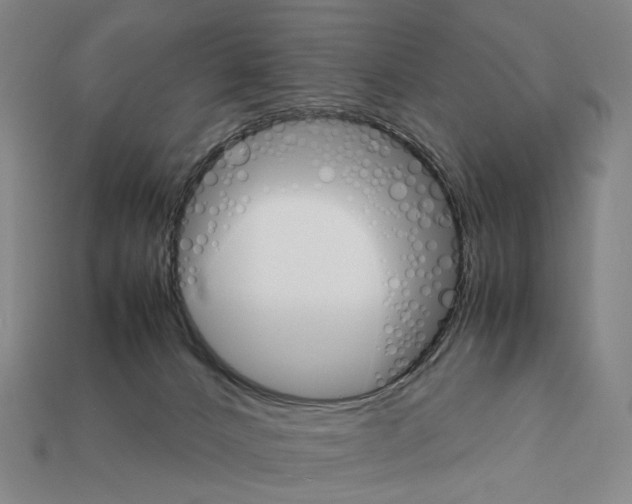 X0000111900032200909071145