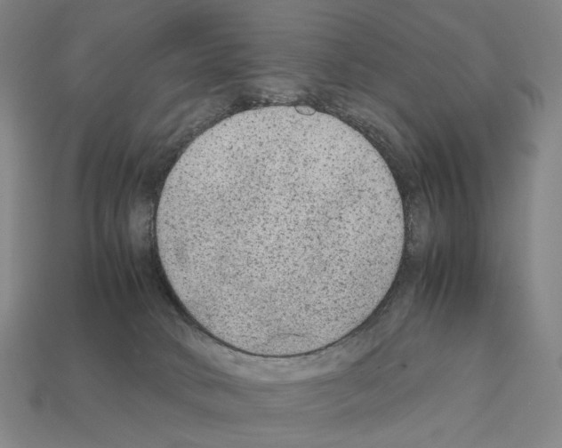 X0000111900034200909071145