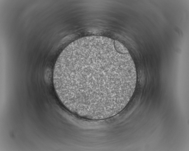 X0000111900036200909071145