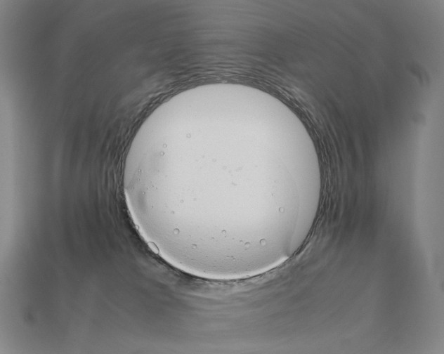 X0000111900037200909071145