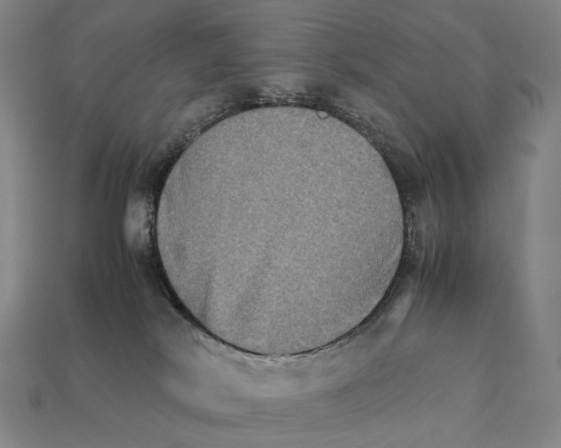 X0000111900038200909071145