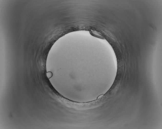 X0000111900039200909071145