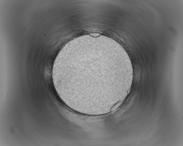 X0000111900040200909071145