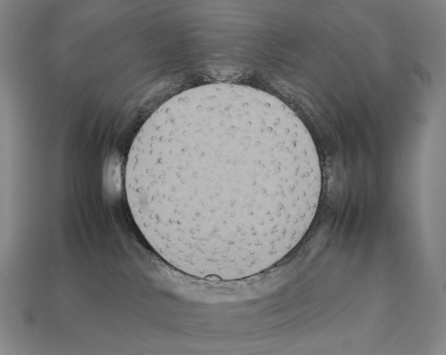 X0000111900042200909071145