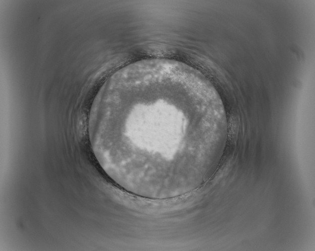 X0000111900043200909071145