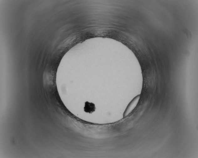 X0000111900044200909071145