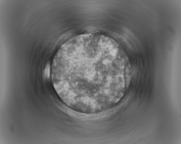 X0000111900046200909071145