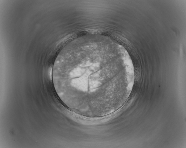 X0000111900047200909071145