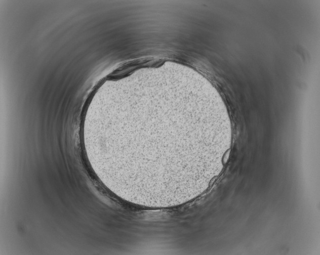 X0000111900050200909071144