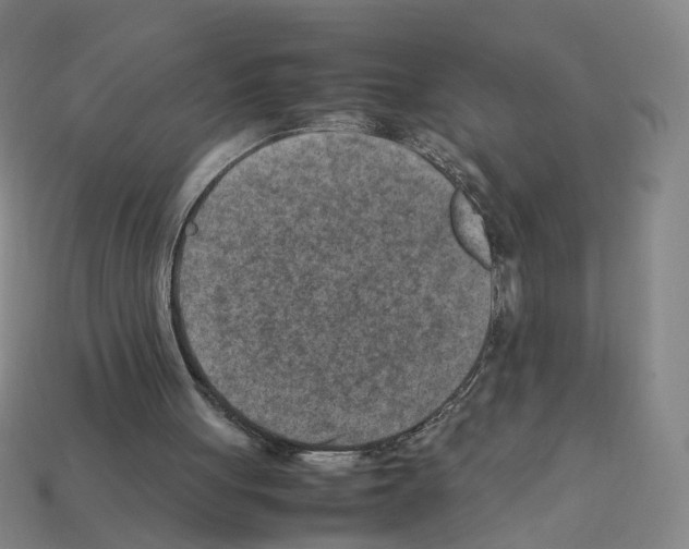 X0000111900051200909071144