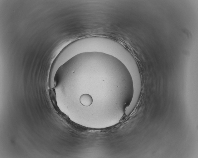 X0000111900052200909071144