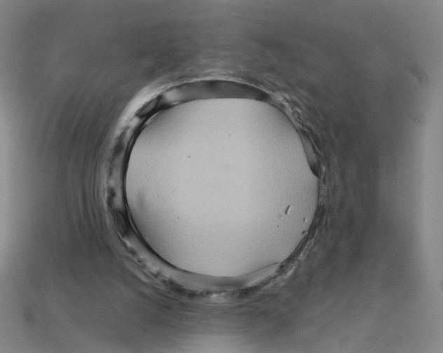 X0000111900056200909071144